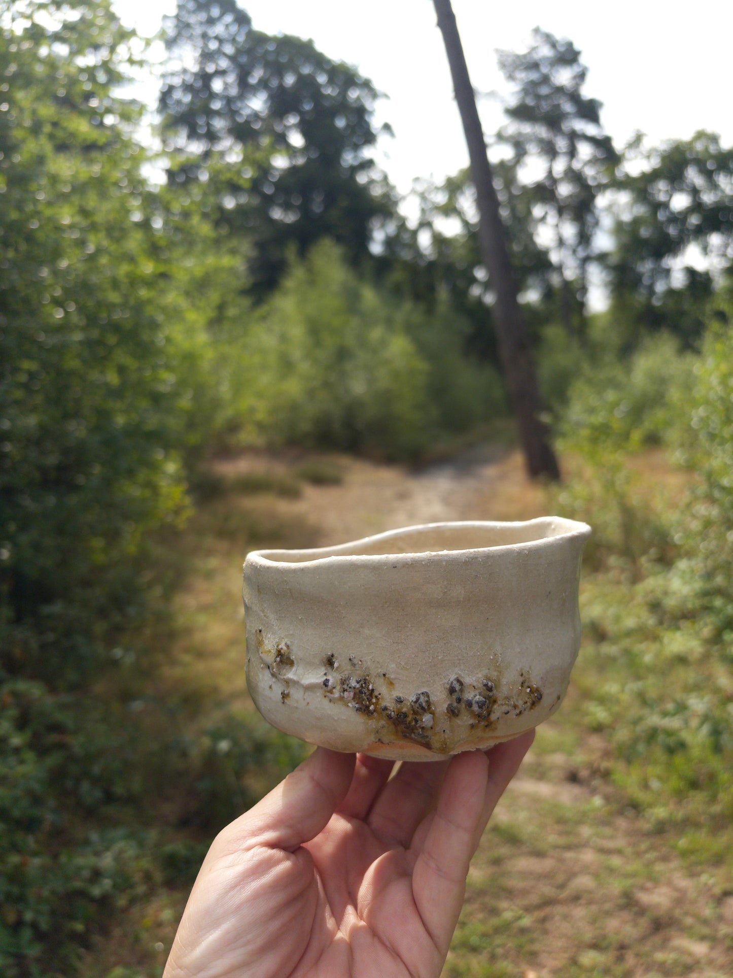 chawan I Haiki