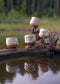 Wild Alchemy l Mineral & Ash