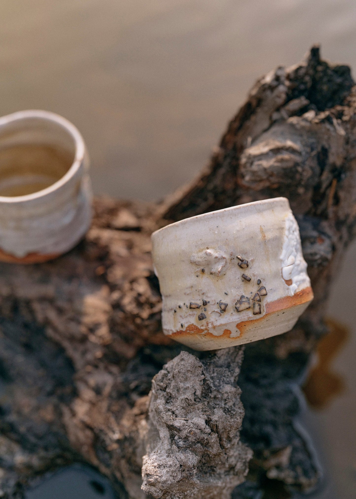 Wild Alchemy l Mineral & Ash