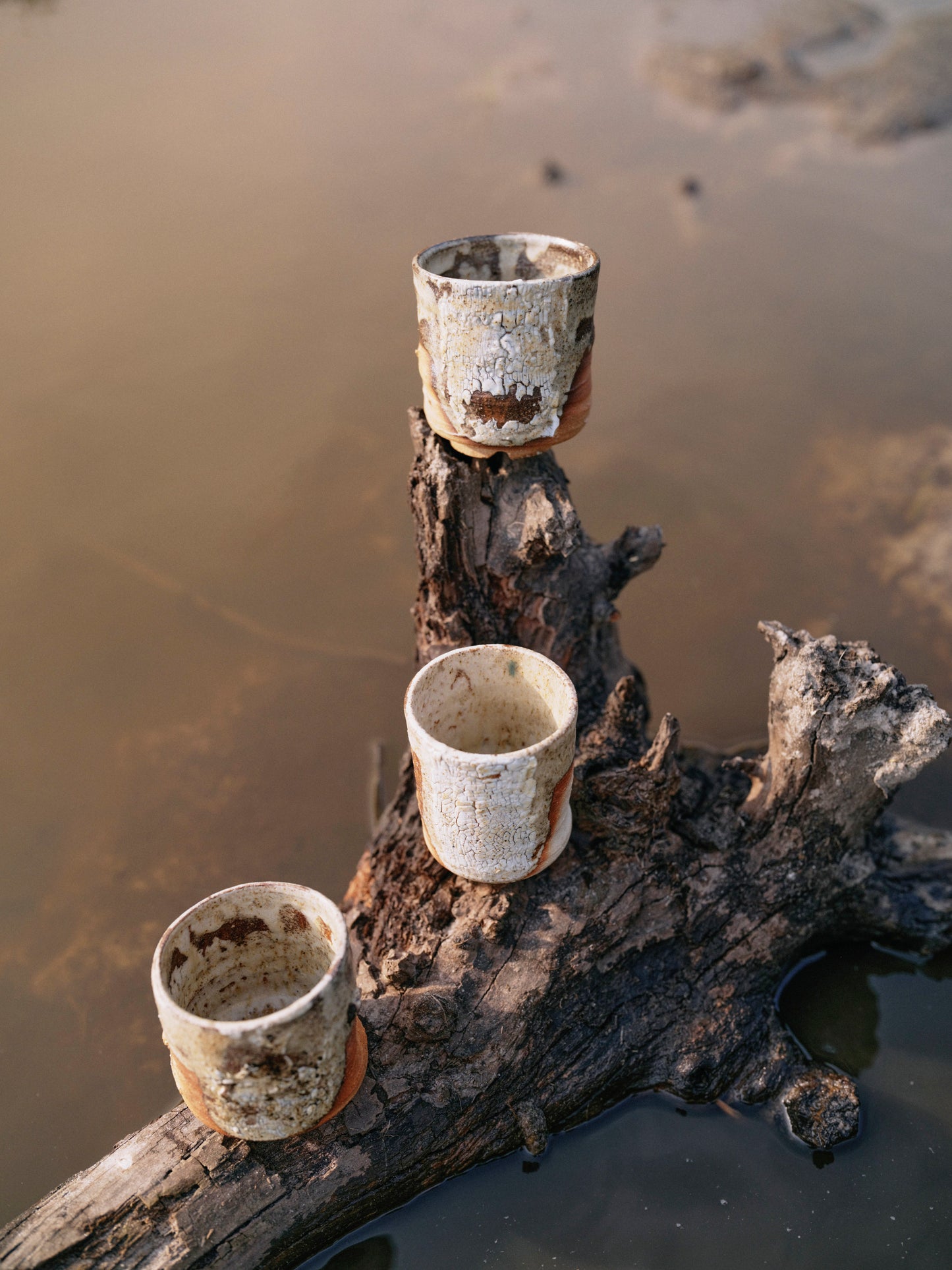 Water remembers