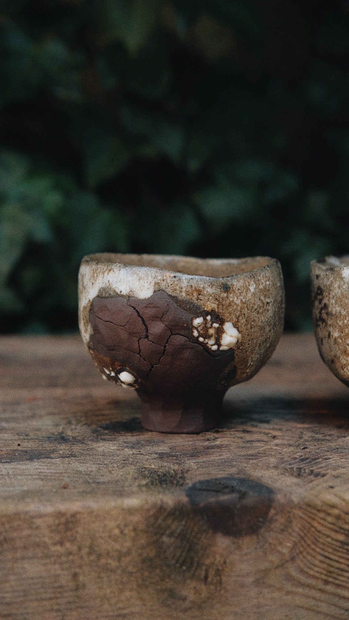 Forest root bowl (LAST ONE)