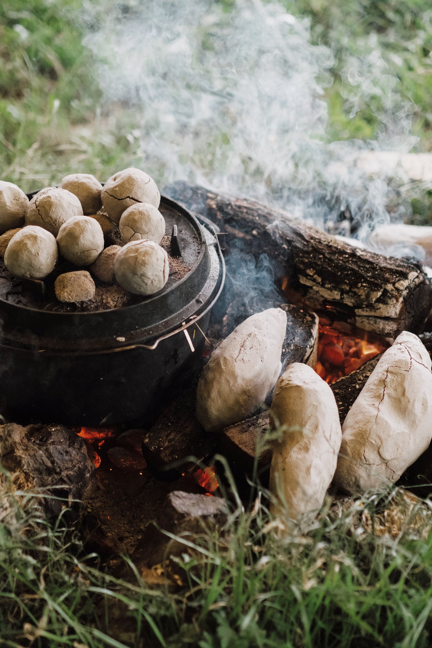 The intuitive kitchen / with a taste of the wild