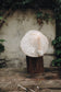 Whispering Bark - wall art