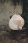 Whispering Bark - wall art