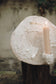 Whispering Bark - wall art